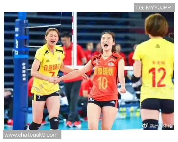 杭州排球队实力分析聚焦排球运动的未来发展与挑战