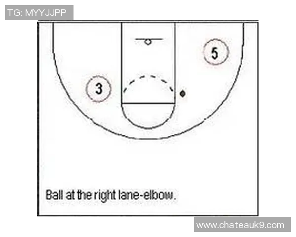 杭州篮球队区域防守战术解析与实战应用探讨